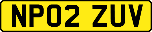 NP02ZUV