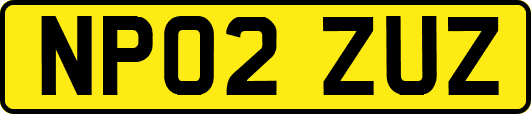 NP02ZUZ