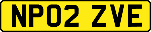 NP02ZVE