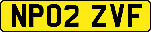 NP02ZVF