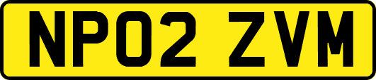 NP02ZVM