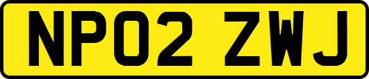 NP02ZWJ