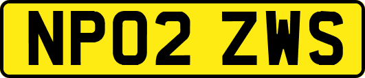 NP02ZWS