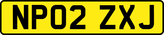 NP02ZXJ
