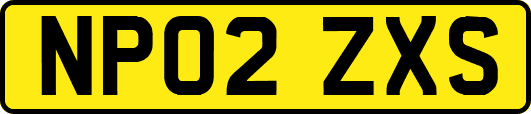 NP02ZXS