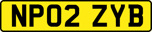 NP02ZYB