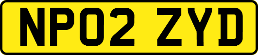 NP02ZYD