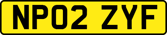 NP02ZYF