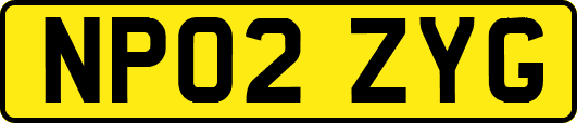 NP02ZYG