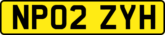 NP02ZYH