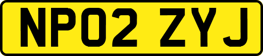 NP02ZYJ