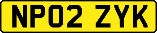 NP02ZYK