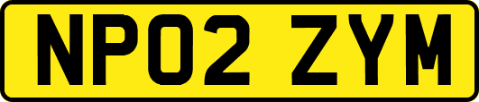 NP02ZYM