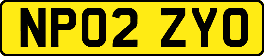 NP02ZYO