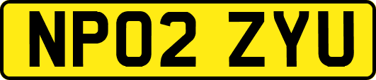 NP02ZYU