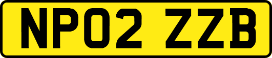 NP02ZZB