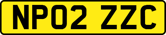 NP02ZZC
