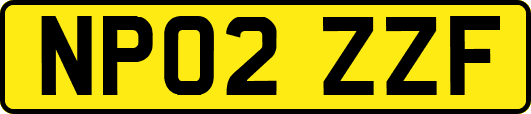NP02ZZF