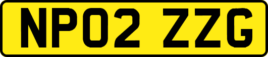 NP02ZZG
