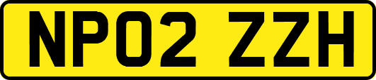 NP02ZZH