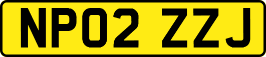 NP02ZZJ