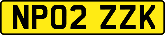NP02ZZK