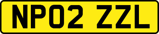 NP02ZZL