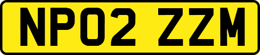 NP02ZZM
