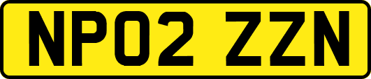 NP02ZZN
