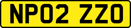 NP02ZZO