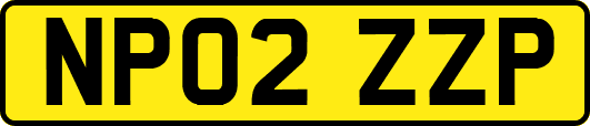 NP02ZZP