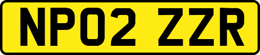 NP02ZZR