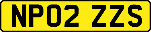 NP02ZZS