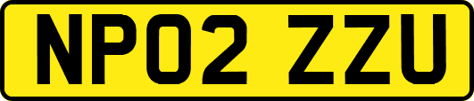 NP02ZZU