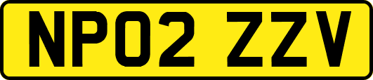 NP02ZZV