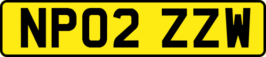 NP02ZZW