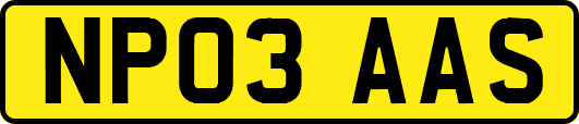 NP03AAS