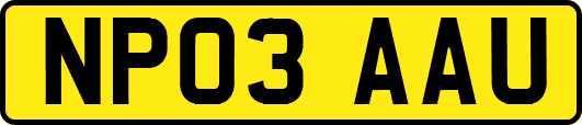 NP03AAU