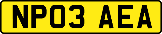 NP03AEA