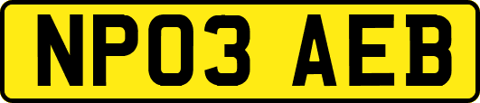 NP03AEB