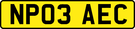 NP03AEC