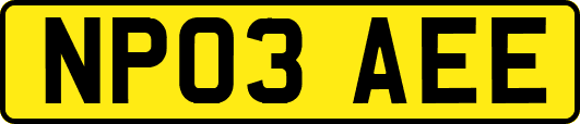 NP03AEE