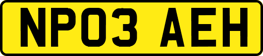 NP03AEH