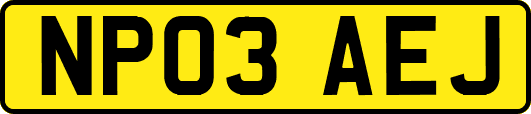 NP03AEJ