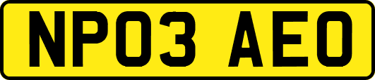 NP03AEO