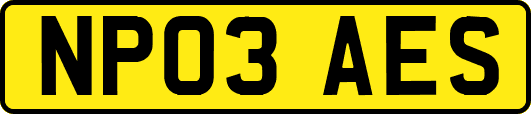 NP03AES