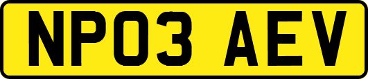 NP03AEV