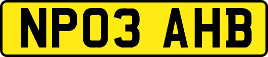 NP03AHB