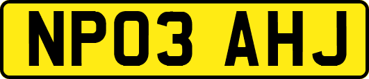 NP03AHJ