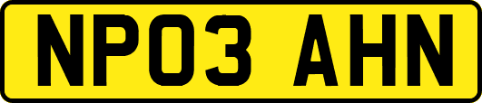 NP03AHN